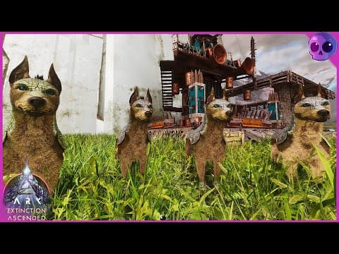 I FINALLY Found High Level Armadoggos! | Ark Survival Ascended: Extinction [EP9]